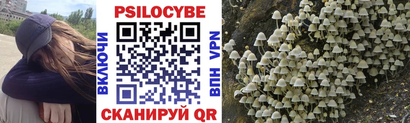 наркошоп Белая Калитва Галлюциногенные грибы GOLDEN TEACHER