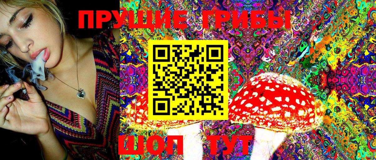 закладки  Белая Калитва  Галлюциногенные грибы MAGIC MUSHROOMS  Галлюциногенные грибы Cubensis 