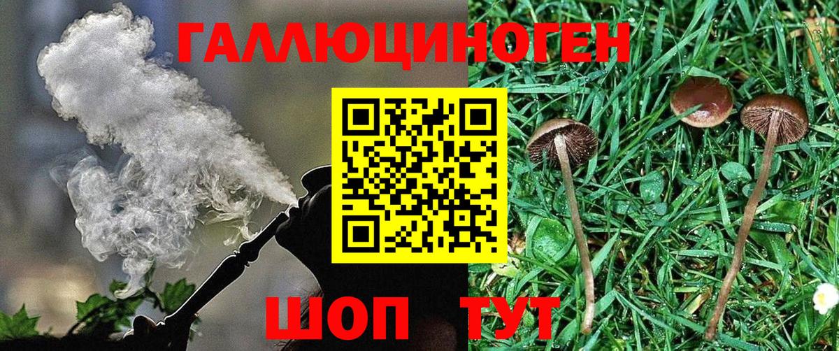 Галлюциногенные грибы Magic Shrooms Белая Калитва